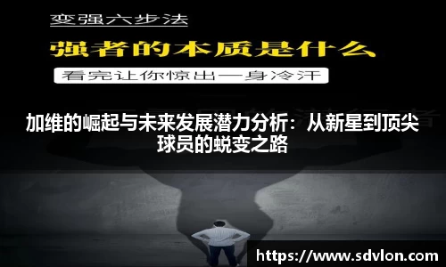 u8国际